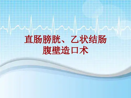 外科手术教学资料：直肠膀胱、乙状结肠腹壁造口术讲解模板