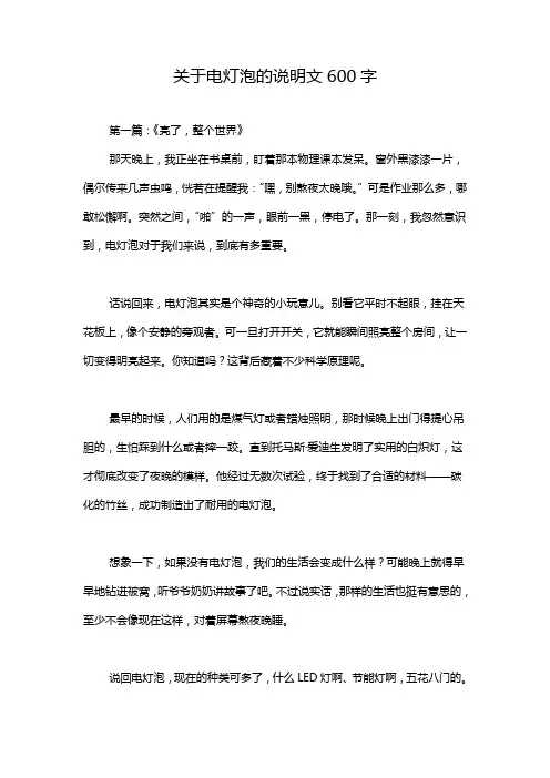 关于电灯泡的说明文600字