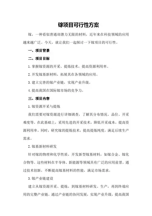 镓项目可行性方案