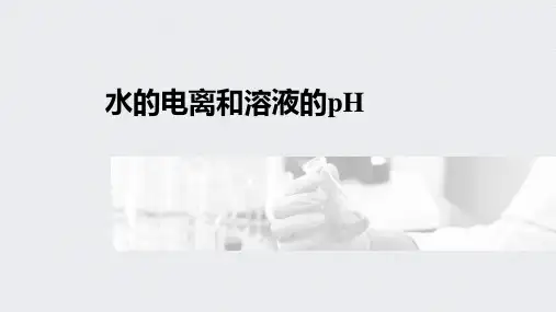 高中化学一轮复习水的电离和溶液的pH