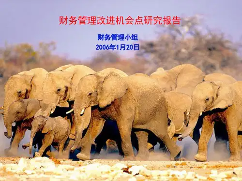 IBM-新奥燃气控股集团—XinAoTo-beFinance(XA_REPORT_060112_V1.0)