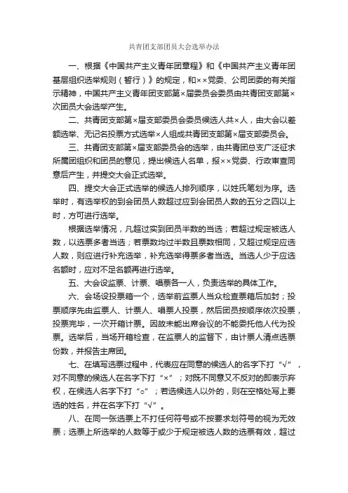 共青团支部团员大会选举办法_活动方案_