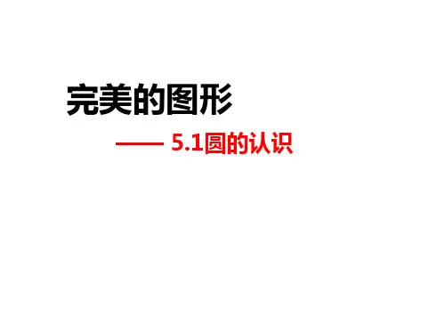 六年级数学上册课件 - 五 圆的认识  青岛版(共21张PPT)