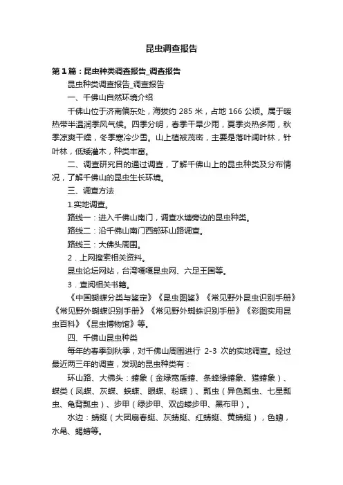昆虫调查报告