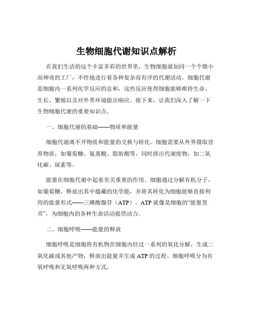 生物细胞代谢知识点解析