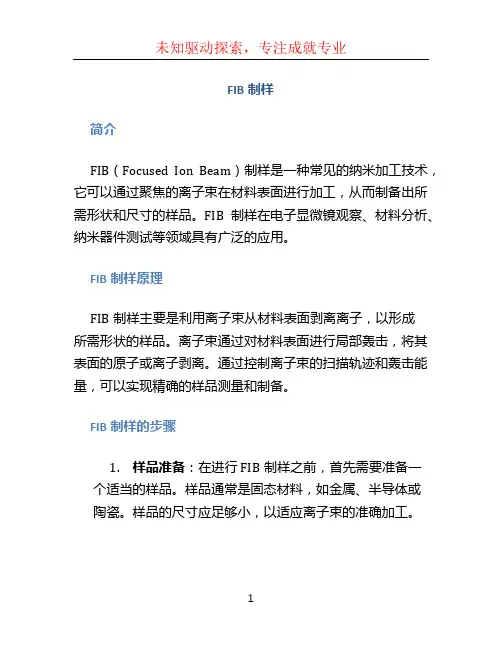 FIB制样