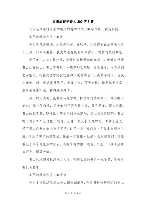 实用的游学作文300字3篇