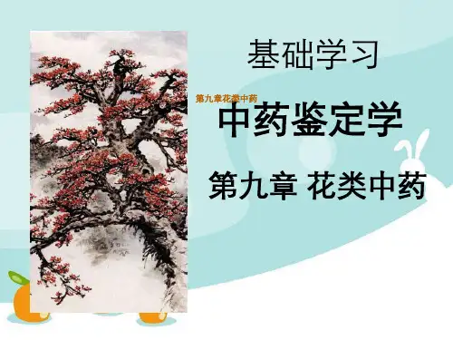 第九章花类中药