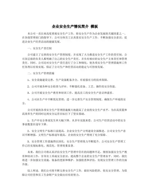 企业安全生产情况简介 模板