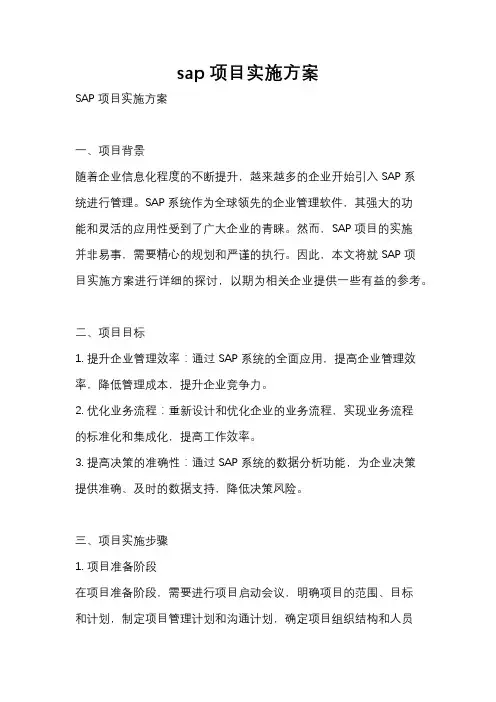 sap项目实施方案