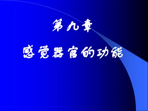 感觉器官ppt