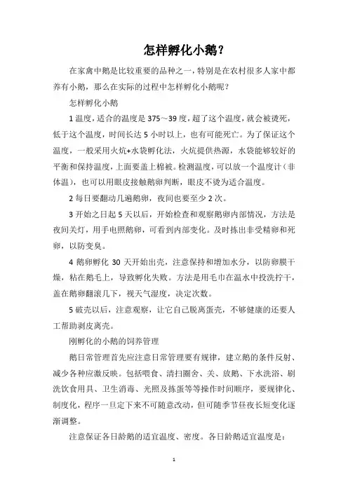 怎样孵化小鹅？