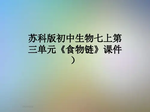 苏科版初中生物七上第三单元《食物链》课件)