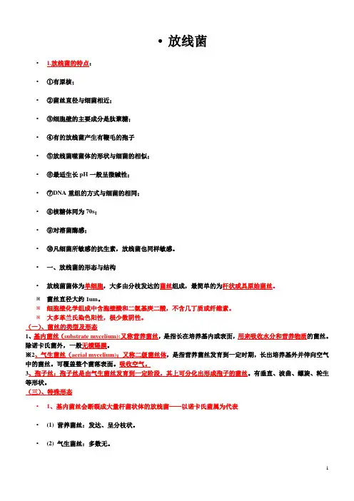 放线菌