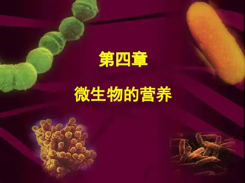 第4章微生物的营养