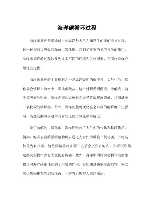 海洋碳循环过程