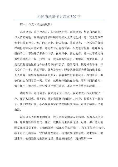 沿途的风景作文范文800字