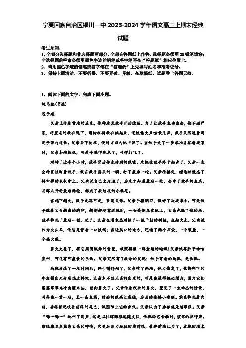 宁夏回族自治区银川一中2023-2024学年语文高三上期末经典试题含解析