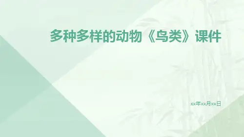多种多样的动物《鸟类》课件