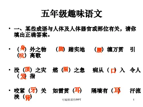 五年级趣味语文ppt课件