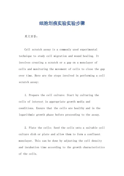 细胞划痕实验实验步骤