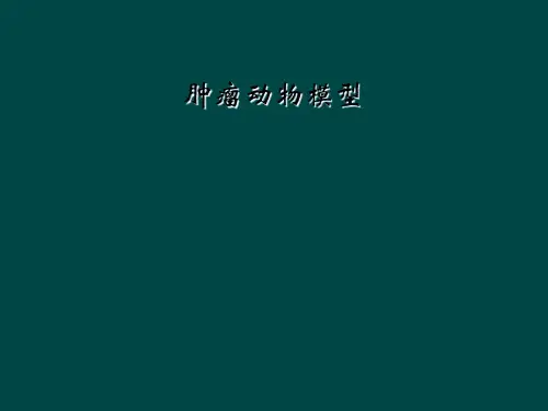 肿瘤动物模型