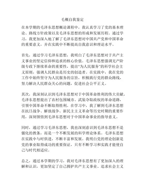 毛概自我鉴定
