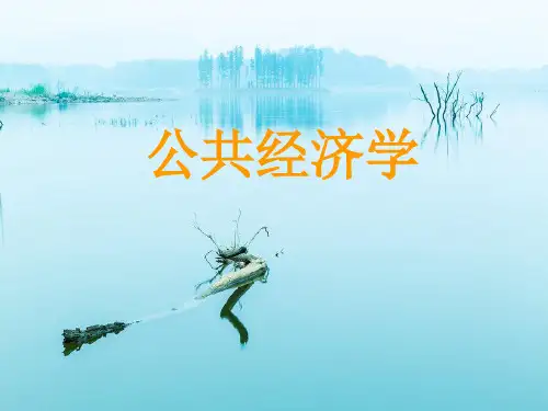 公共经济学(政府经济学)PPT教学课件