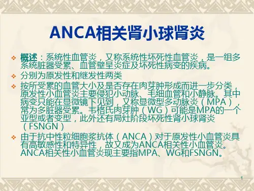 ANCA相关肾小球肾炎PPT课件