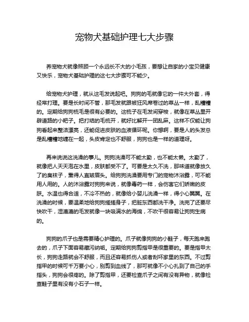宠物犬基础护理七大步骤