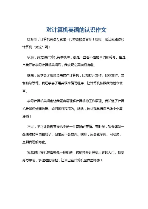 对计算机英语的认识作文