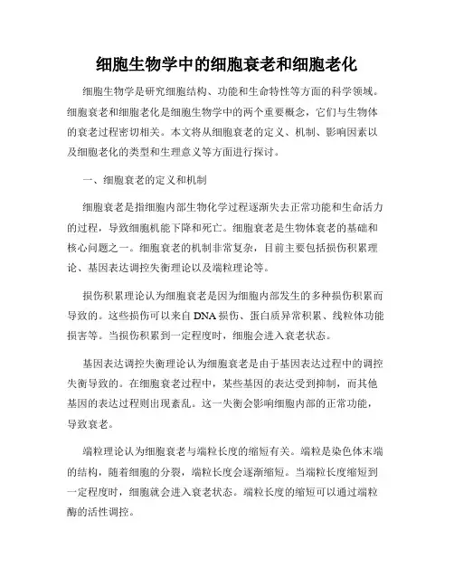 细胞生物学中的细胞衰老和细胞老化