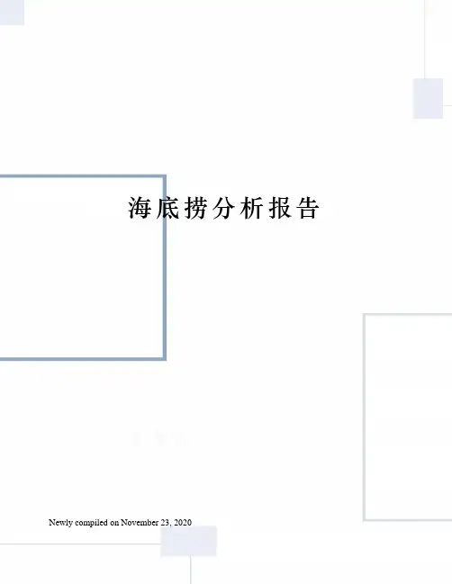 海底捞分析报告