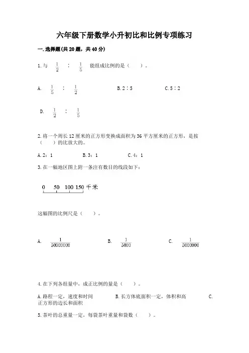 六年级下册数学小升初比和比例专项练习A4版可打印
