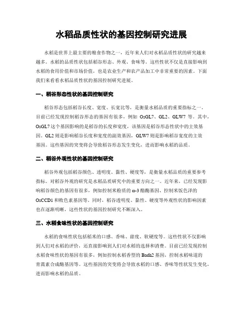 水稻品质性状的基因控制研究进展