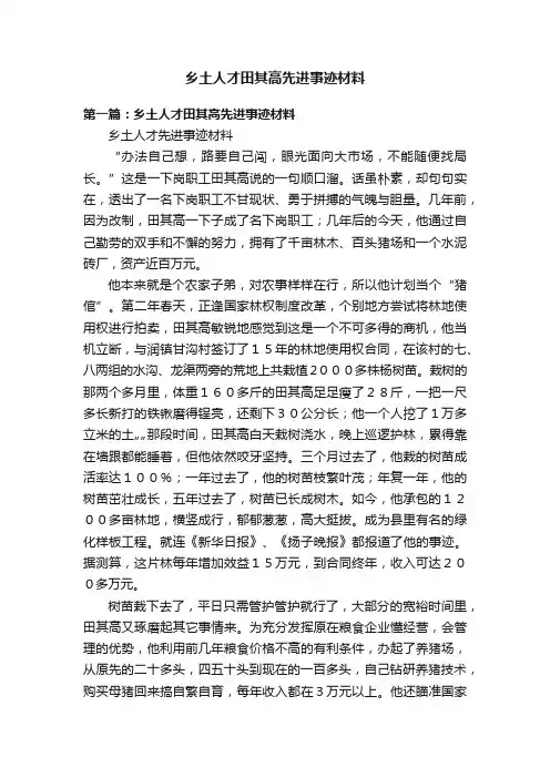 乡土人才田其高先进事迹材料