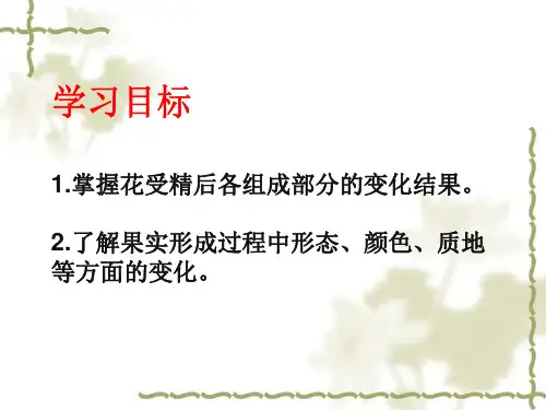 子房发育形成果实