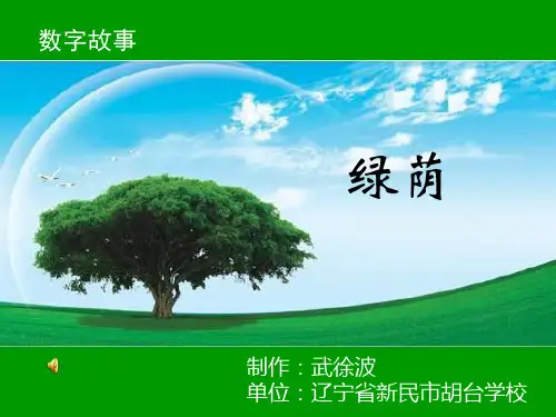 【精品PPT】数字故事