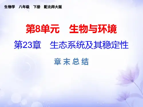 生物八年级下北师大版第23章生态系统及其稳定性复习课件(20张)