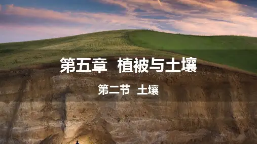 5.2 土壤(2课时)课件 -人教版(2019)必修一 高一地理上学期