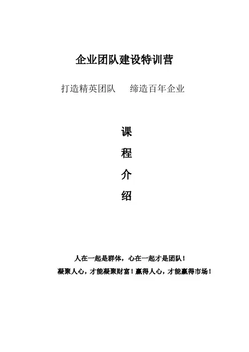 团队凝聚力训练营两天方案