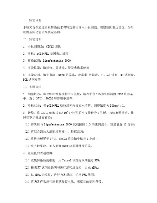 小鼠质粒转染实验报告