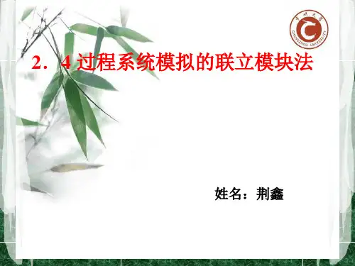 过程系统模拟的联立模块法