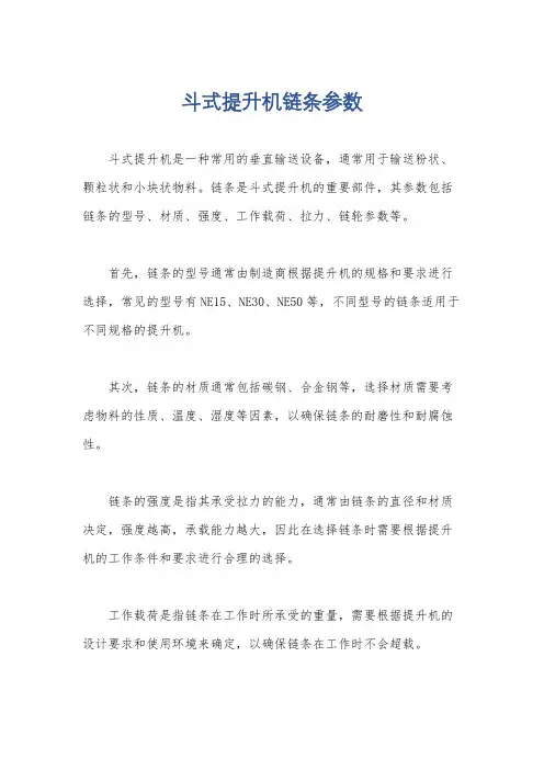 斗式提升机链条参数