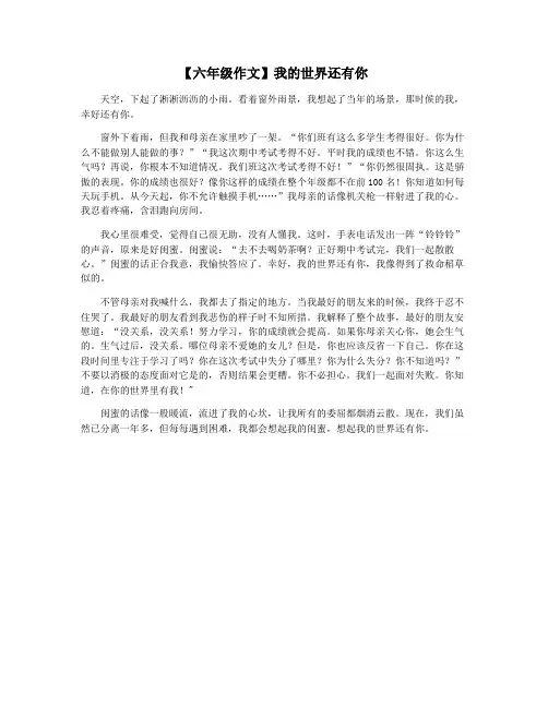 【六年级作文】我的世界还有你