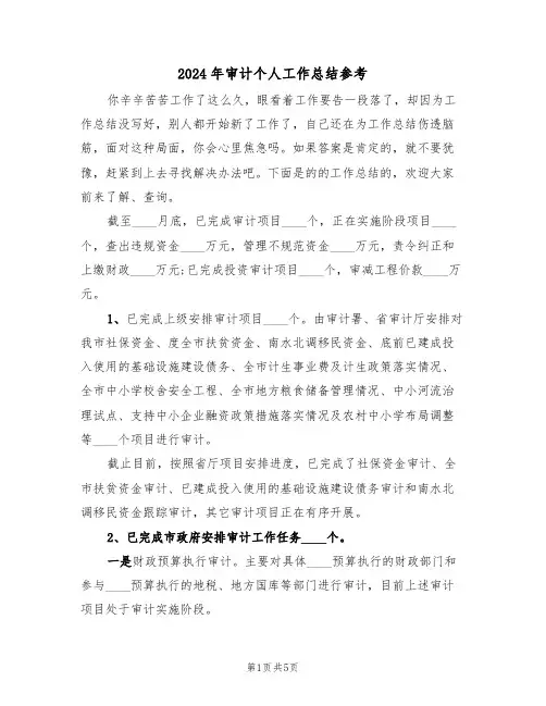 2024年审计个人工作总结参考(3篇)