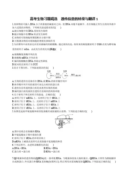 高考生物习题精选 遗传信息的转录与翻译1