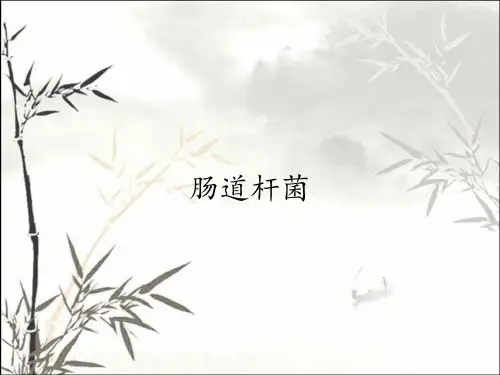 肠道杆菌_课件