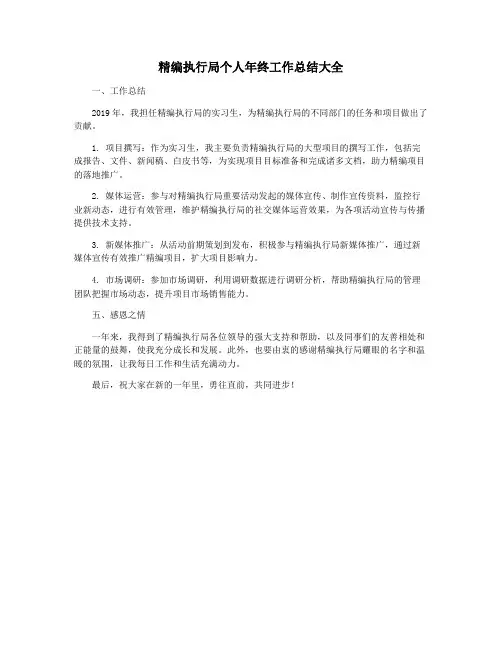 精编执行局个人年终工作总结大全
