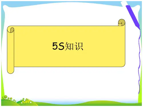 5S知识培训课件(PPT45页)